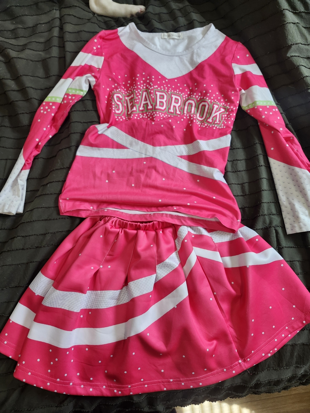 Girls' Hot Pink Seabrook Cheer Costume Set From Disneys Zombies